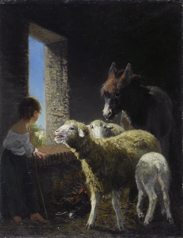 Pastorella nell'ovile